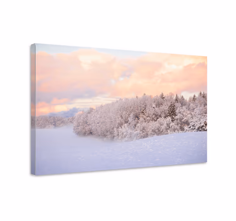 Cuadro paisajes serenidad invernal - TenVinilo