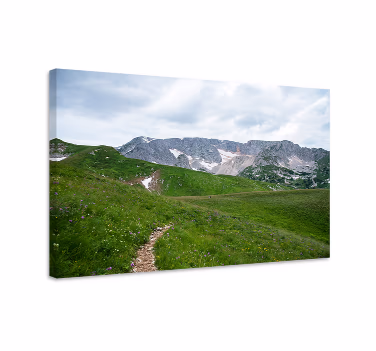Cuadro paisajes sendero de montaña sereno - TenVinilo