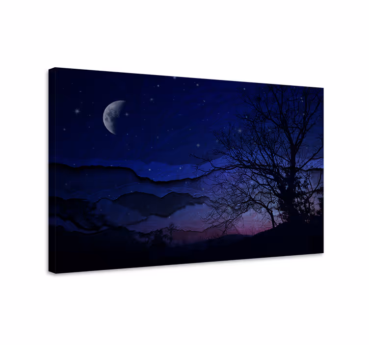 Cuadro paisajes Paisaje nocturno original con luna - TenVinilo