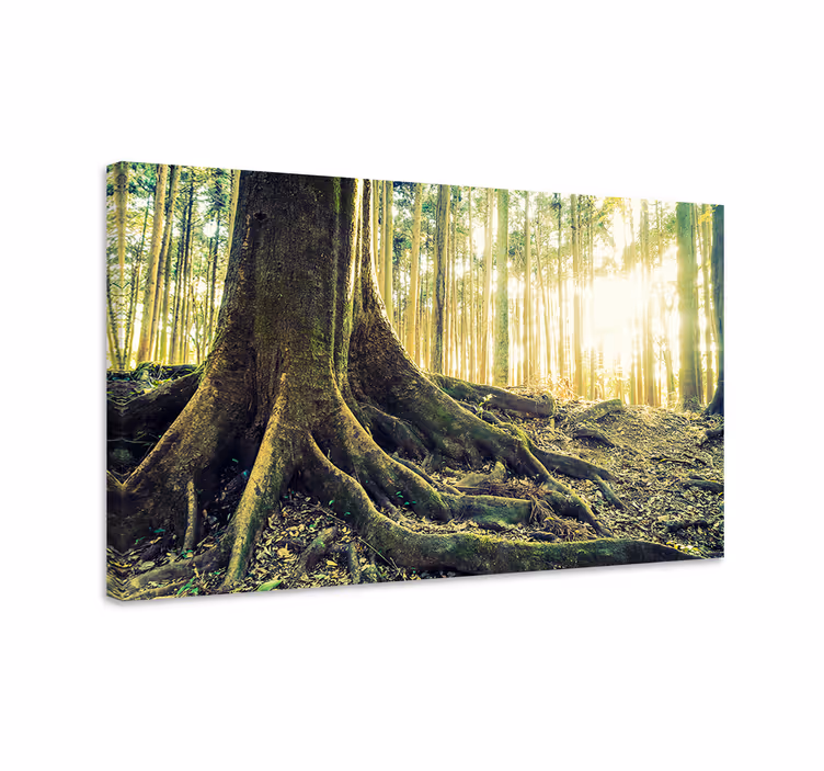 Cuadro paisajes Bosque dorado con rayos de sol - TenVinilo