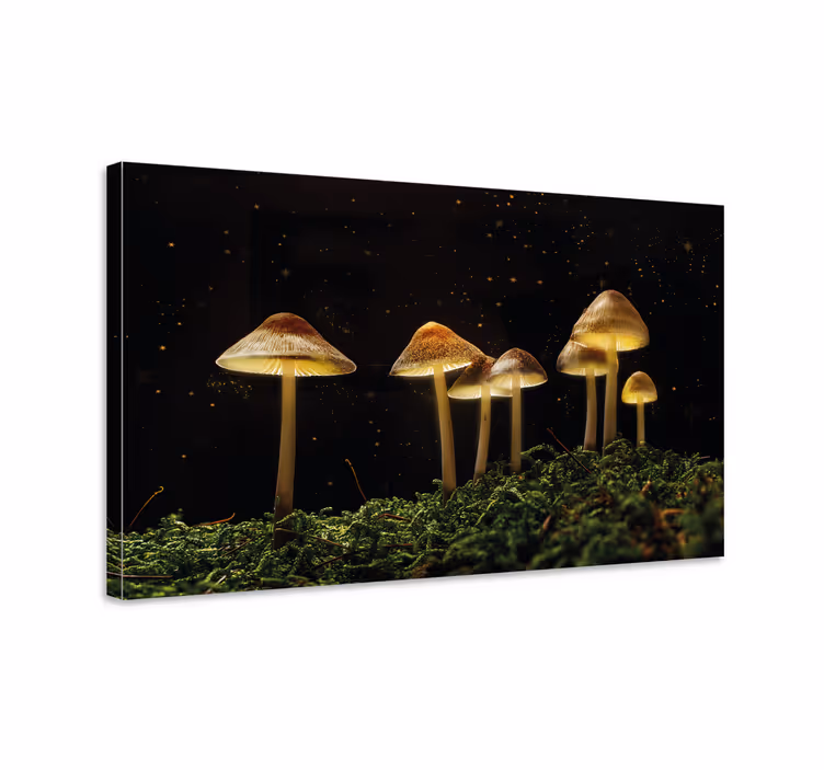 Cuadro de flores escena de hongos luminosos - TenVinilo