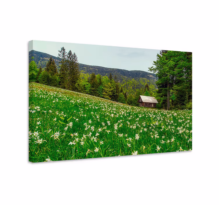 Cuadro paisajes cabaña encantadora en el campo - TenVinilo