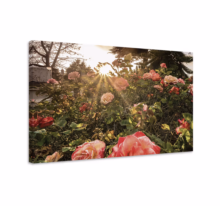 Cuadro de flores capullos de rosa radiante - TenVinilo