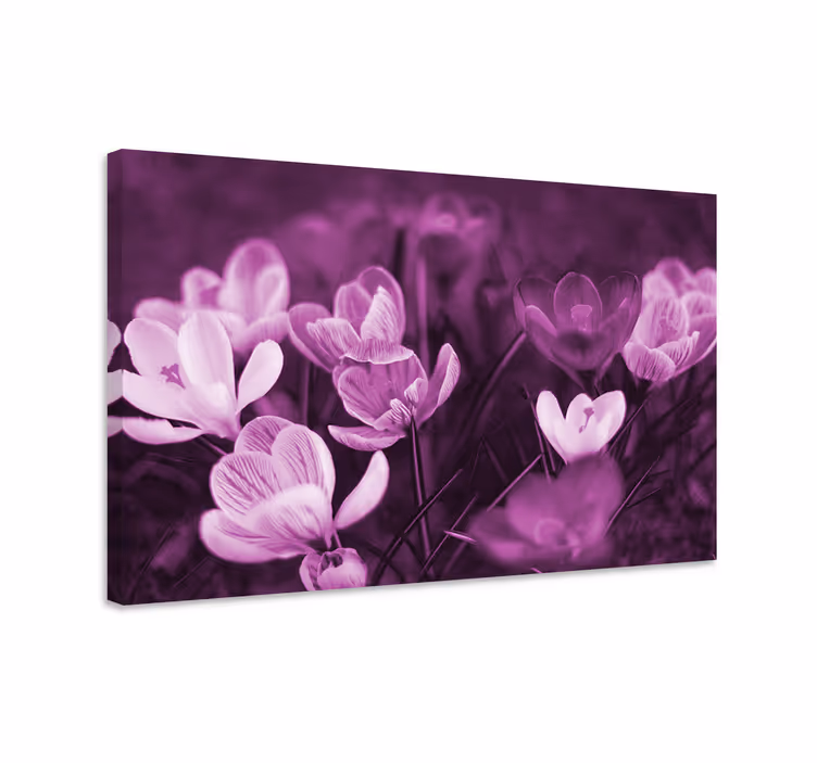 Cuadro de flores exposición floral en floración - TenVinilo