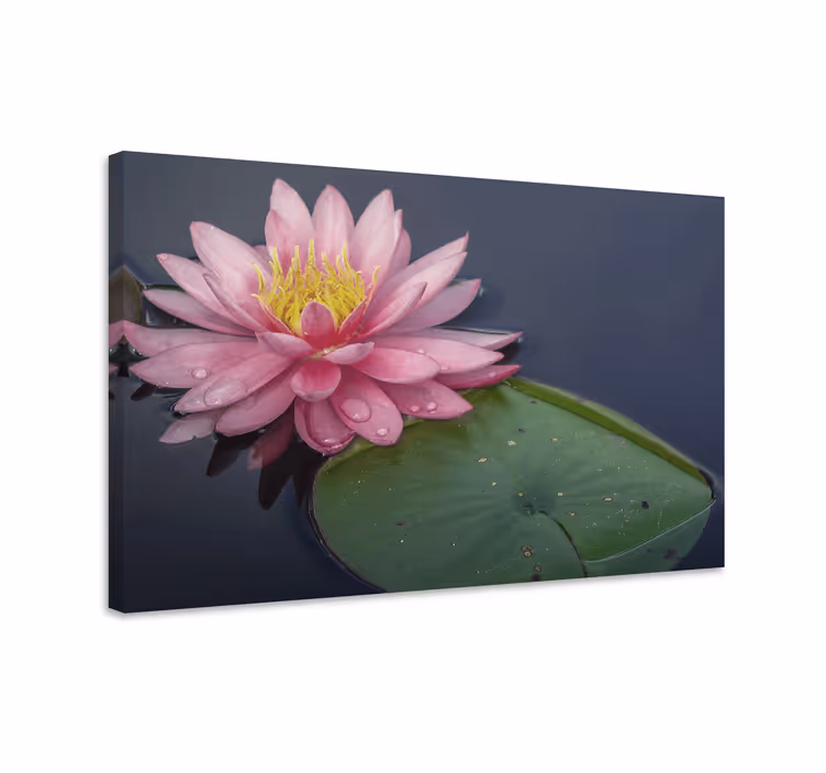 Cuadro de flores flor de loto - TenVinilo