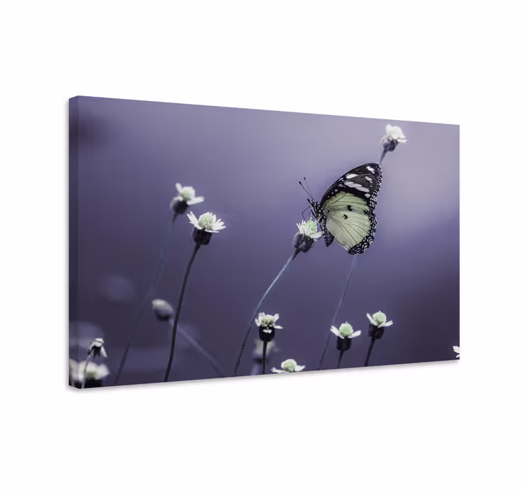 Cuadro mariposas mariposa entre flores - TenVinilo