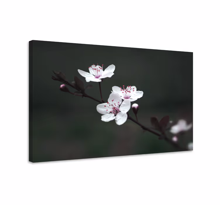 Cuadro de flores flores delicadas en flor - TenVinilo