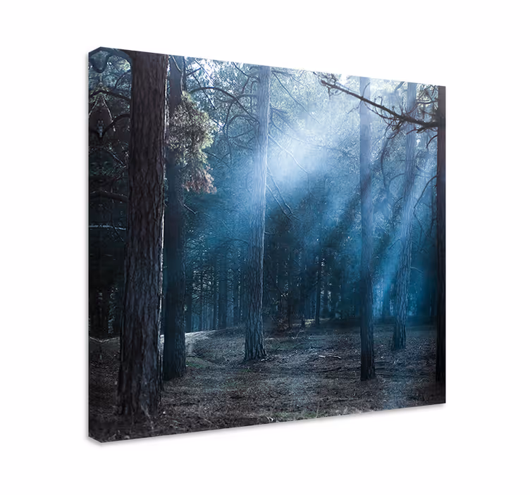Cuadro árboles "naturaleza" anochecer en el bosque - TenVinilo