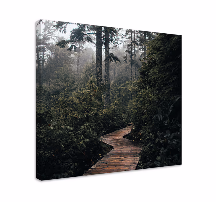Cuadro paisajes sendero del bosque tranquilo - TenVinilo