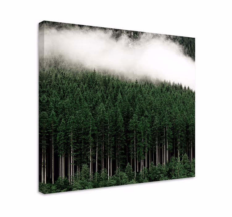 Cuadro árboles Vista aérea de pinos "naturaleza" - TenVinilo