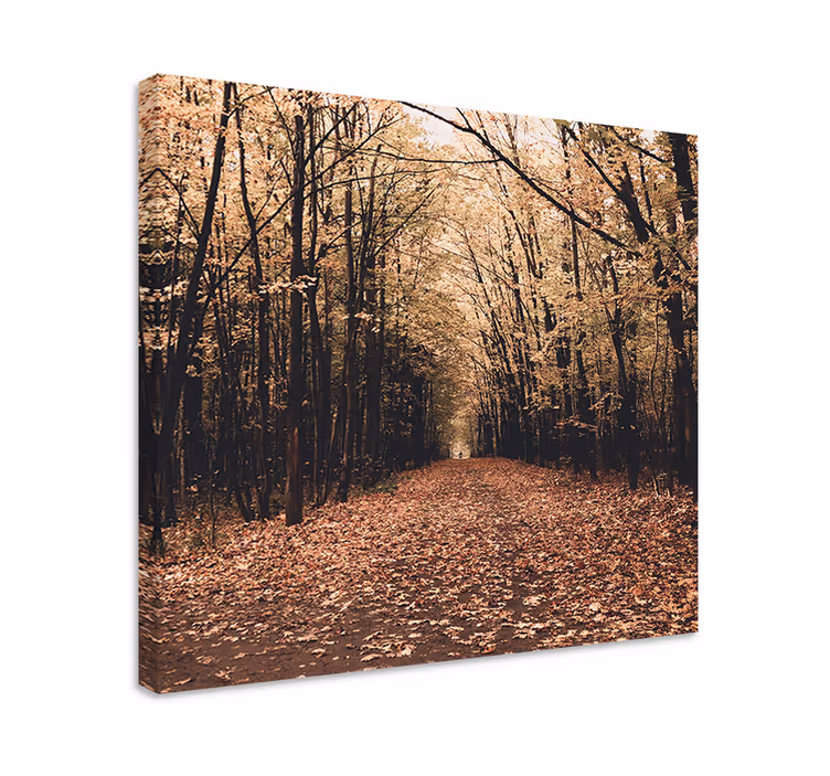 Cuadro paisajes escena del camino otoñal - TenVinilo
