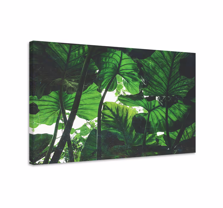 Cuadro paisajes Hermoso diseño de selva verde - TenVinilo