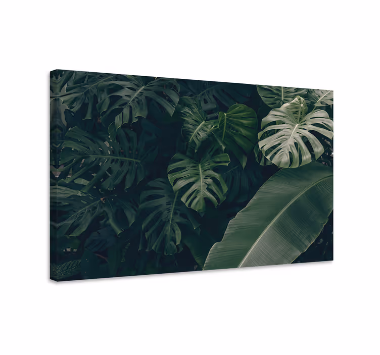 Cuadro paisajes Hermoso bosque de la selva verde - TenVinilo