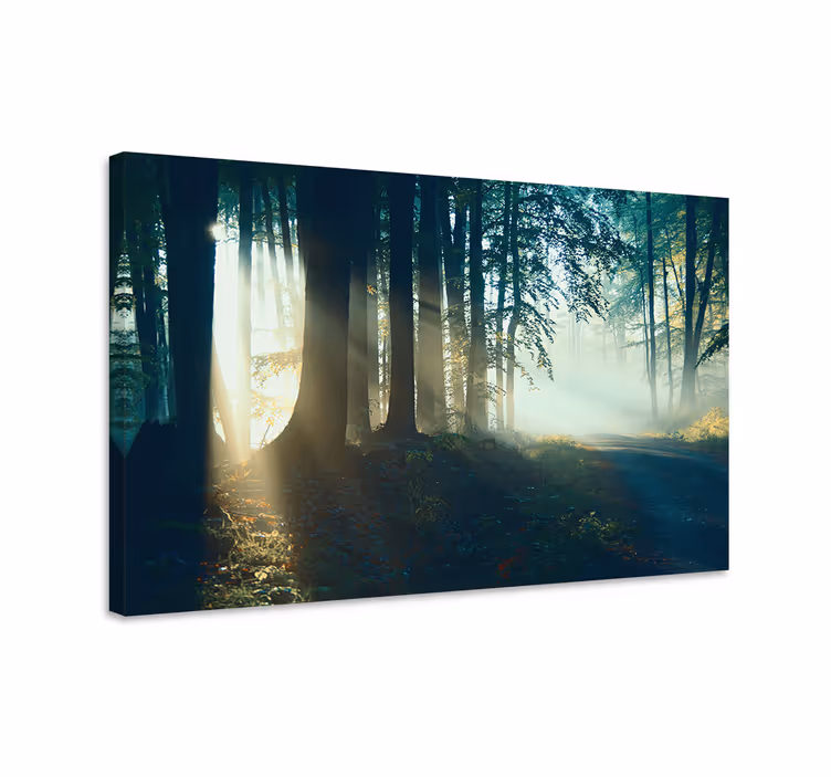 Cuadro paisajes sendero del bosque nublado - TenVinilo