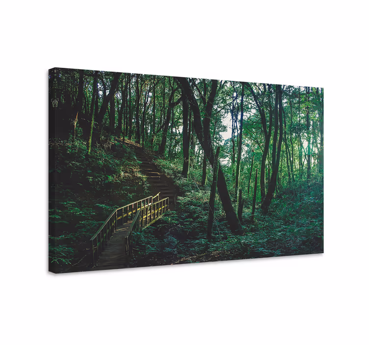 Cuadro paisajes sendero del bosque - TenVinilo
