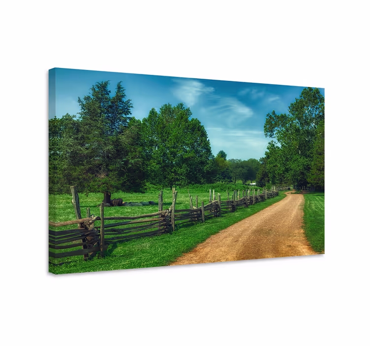 Cuadro paisajes camino campestre sereno - TenVinilo