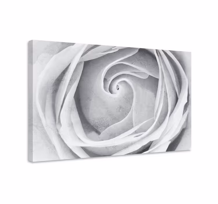 Cuadro de flores espiral de rosa elegante - TenVinilo