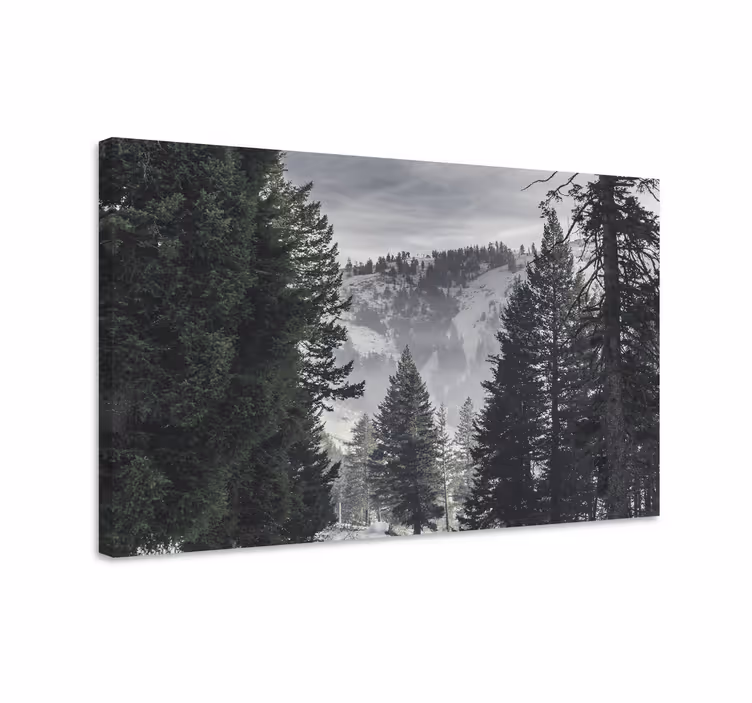 Cuadro paisajes escena majestuosa de montañas - TenVinilo