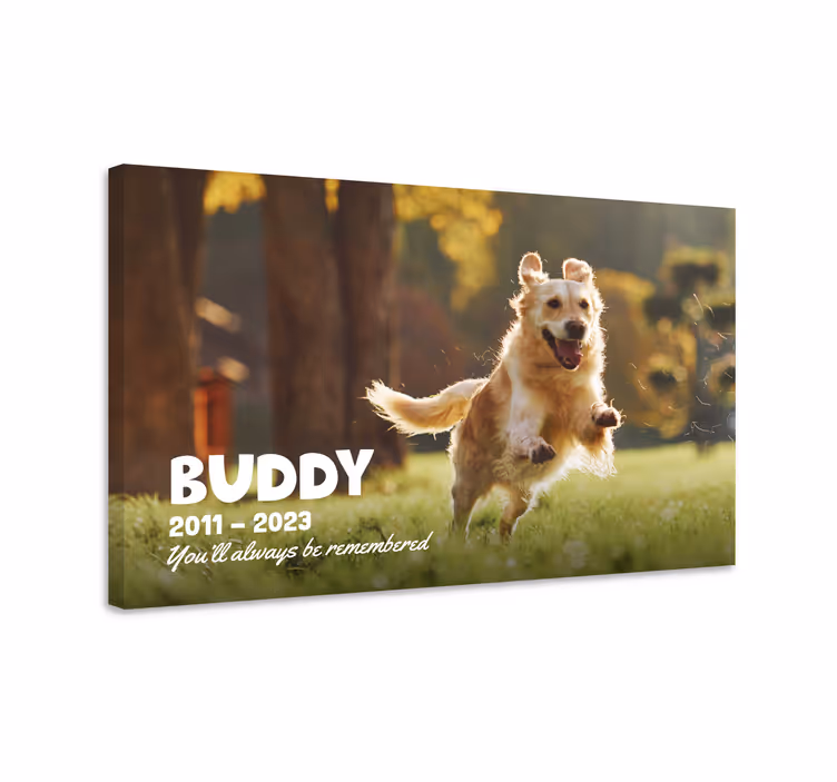 Cuadro para salón aquí yace una mascota muy querida. Siempre vivi - TenVinilo