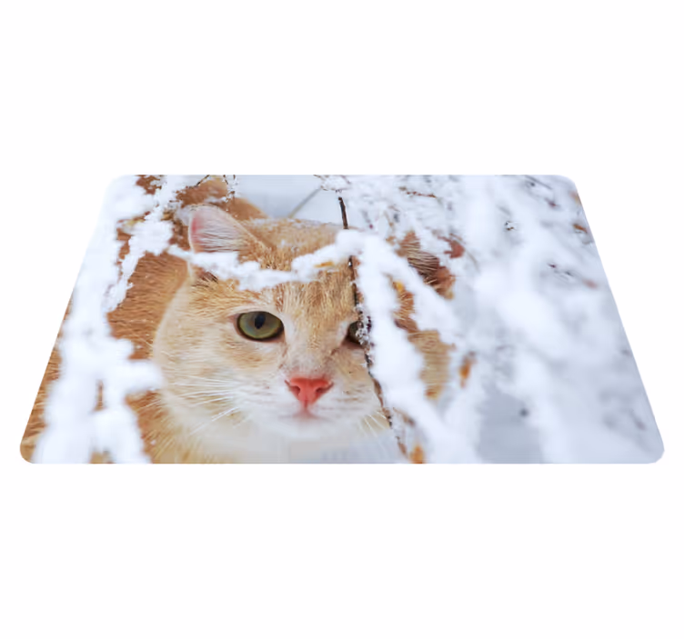 Aflombra vinílica animales gato con estalactita - TenVinilo