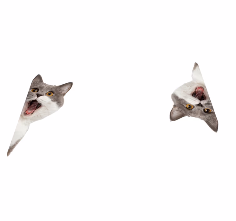 Aflombra vinílica animales gato espiando fondo blanco - TenVinilo