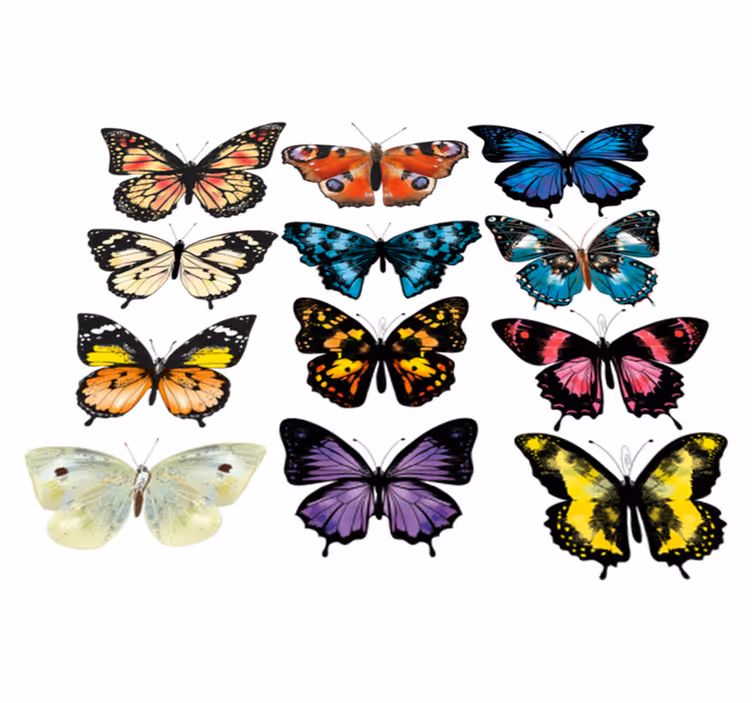 Aflombra vinílica animales ilustración de mariposa - TenVinilo