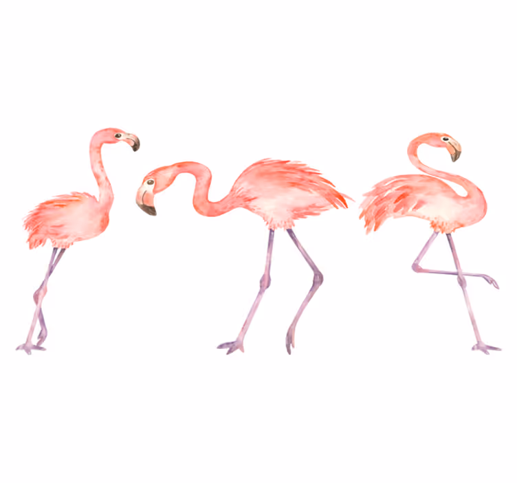 Aflombra vinílica animales trio de flamencos elegantes - TenVinilo