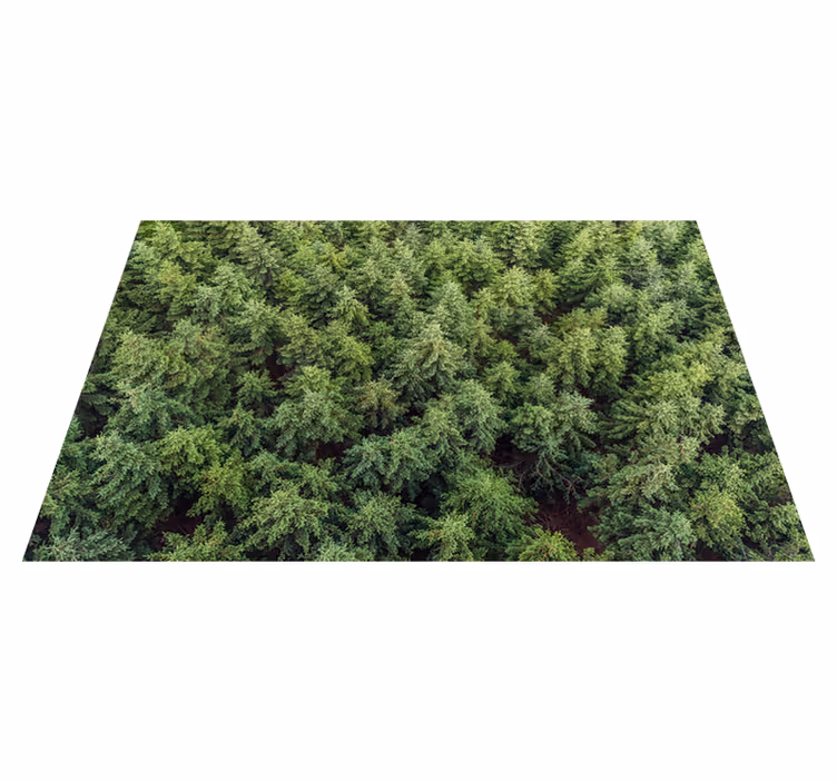 Alfombra vinilo salón bosque desde el aire - TenVinilo