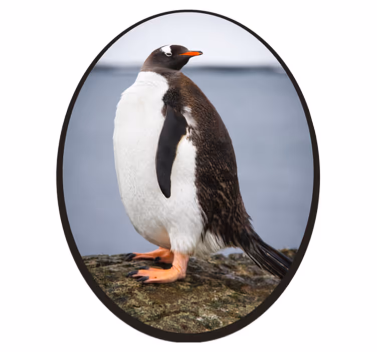 Aflombra vinílica animales postura de pingüino - TenVinilo