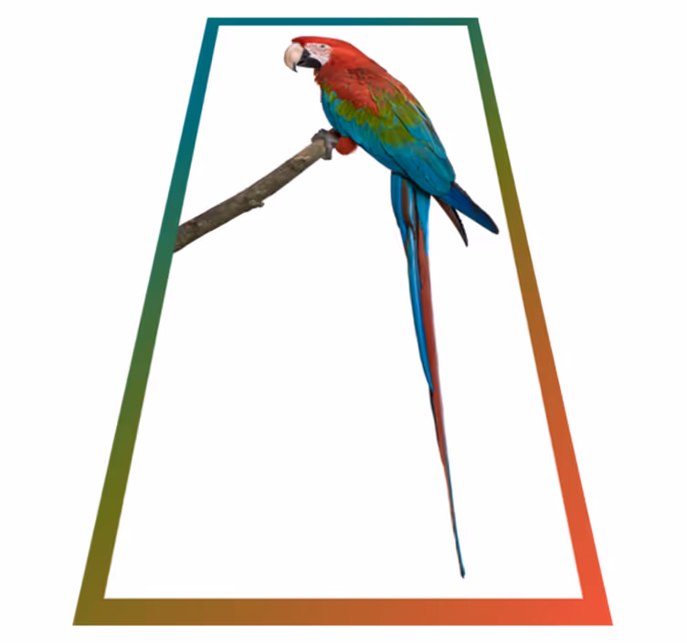 Aflombra vinílica animales guacamayo colorido - TenVinilo