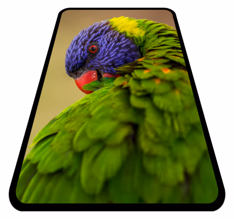 Aflombra vinílica animales retrato colorido de loro - TenVinilo