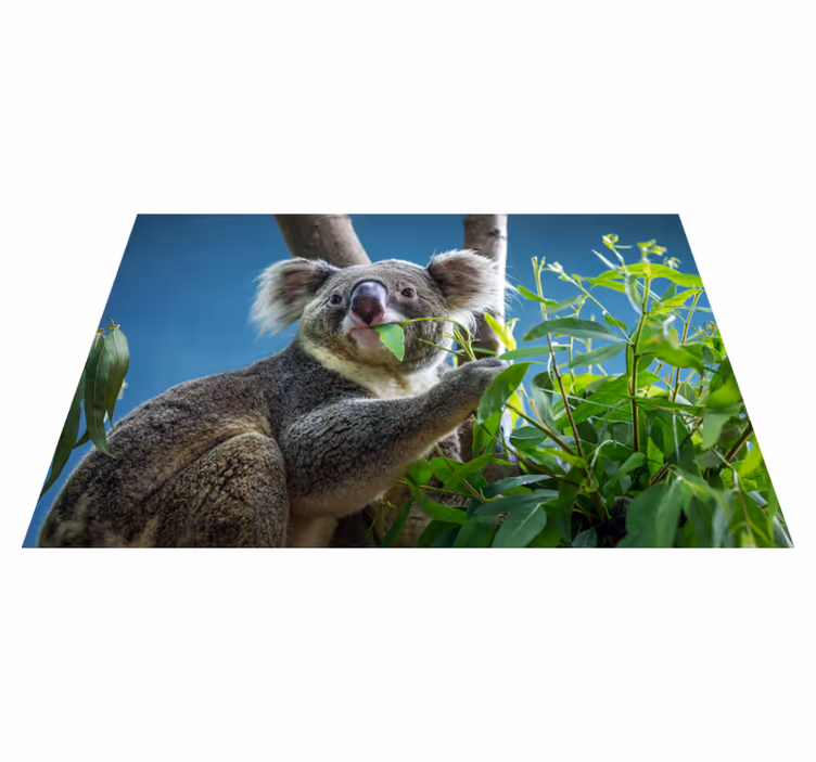 Aflombra vinílica animales koala en la naturaleza - TenVinilo