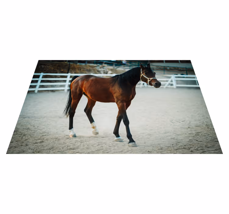 Aflombra vinílica animales Animal caballo marrón - TenVinilo