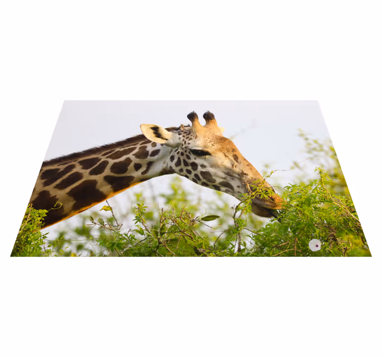 Aflombra vinílica animales jirafa comiendo verduras - TenVinilo