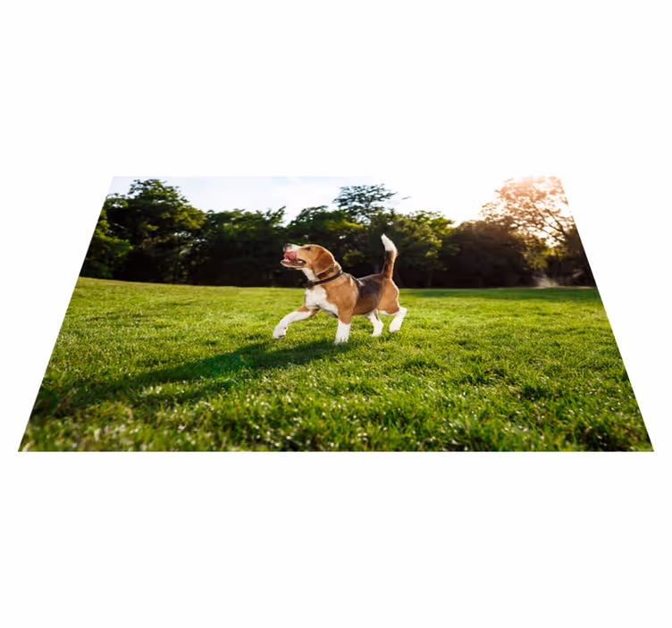 Aflombra vinílica animales beagle feliz corriendo - TenVinilo
