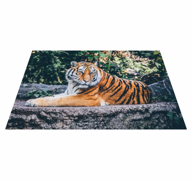 Aflombra vinílica animales majestuoso tigre tumbado - TenVinilo