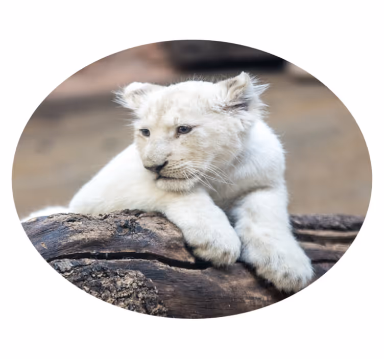 Aflombra vinílica animales cachorro de león blanco - TenVinilo