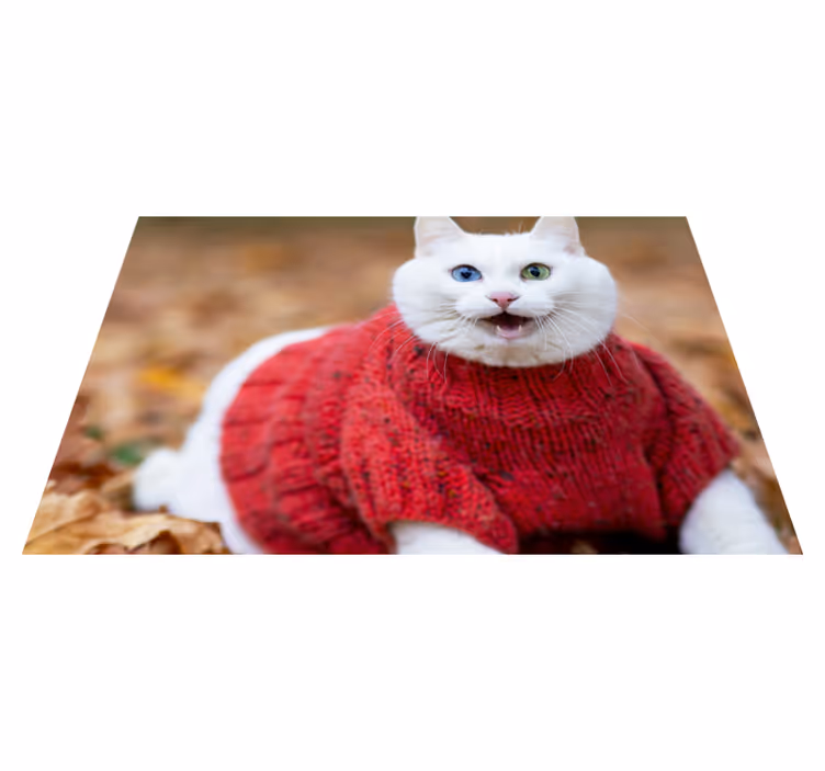 Aflombra vinílica animales suéter de gato juguetón - TenVinilo