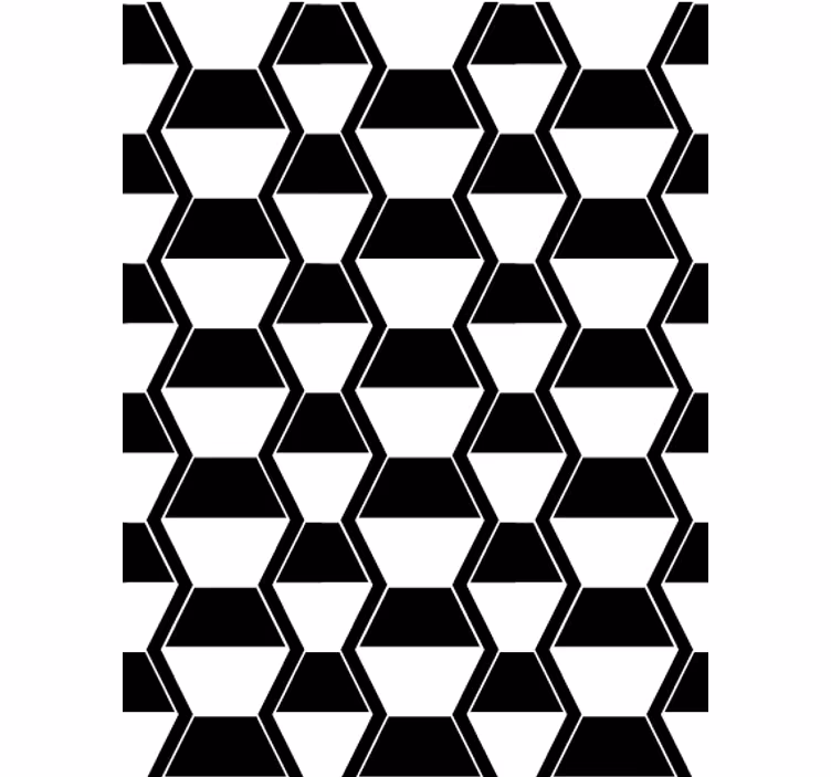 Papel tapiz para sala hexágonos en blanco y negro - TenVinilo