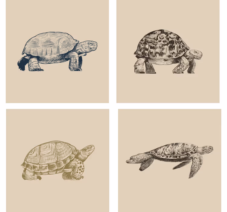 Papel tapiz vintage fondo beige de tortugas - TenVinilo