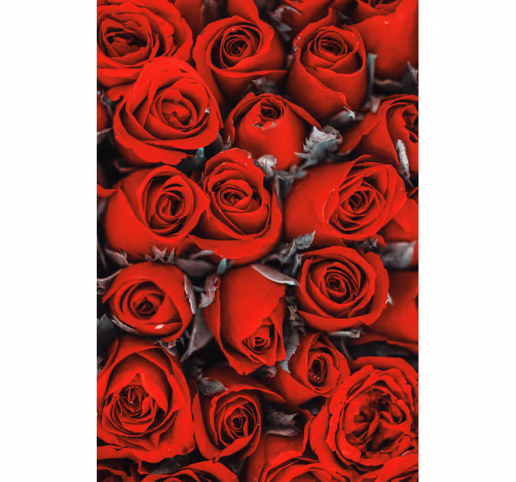 Papel tapiz flores rosas rojas románticas - TenVinilo