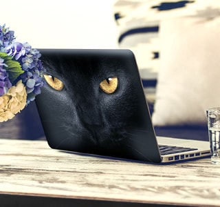 Stickers para portátiles