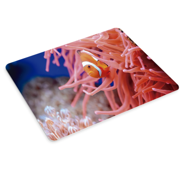 Mouse pad xxl pez payaso entre anémonas - TenVinilo