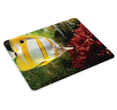 Alfombrilla ratón XXL imagen coral pez amarillo - TenVinilo