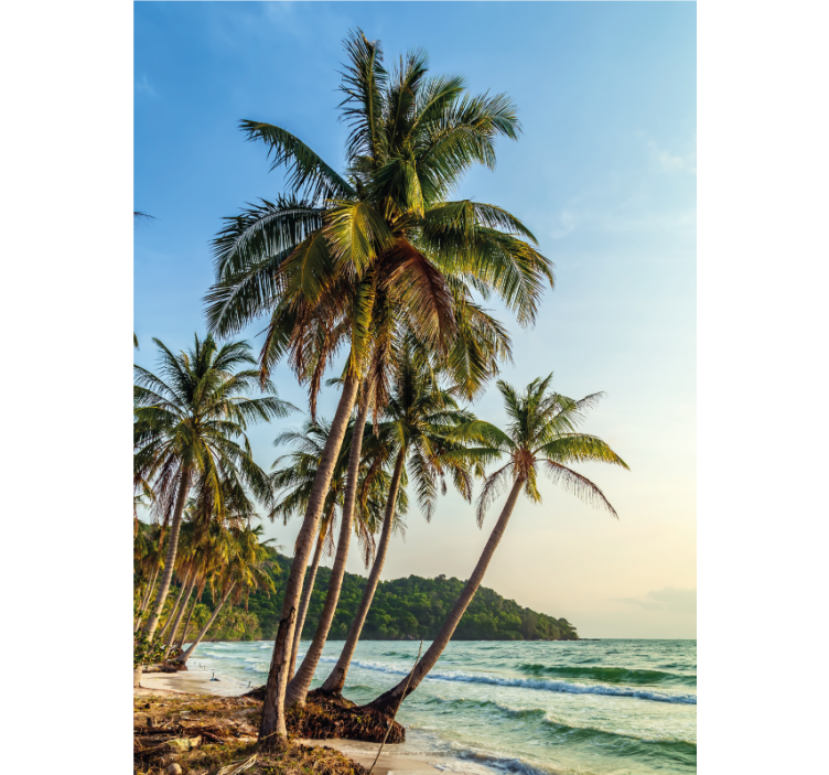 Cortina roller baño palmeras en la playa - TenVinilo