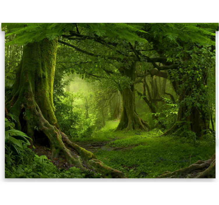 Cortina roller árboles escape en el bosque frondoso - TenVinilo