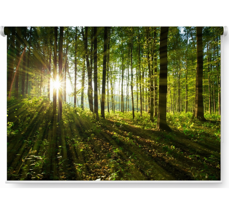 Cortina roller árboles bosques del sol radiante - TenVinilo