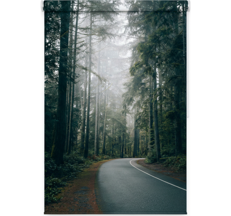 Cortina roller árboles camino de pinos nebulosos - TenVinilo