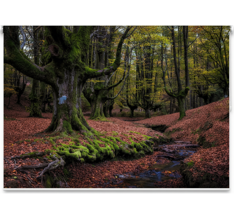 Cortina roller árboles bosque encantado de otoño - TenVinilo
