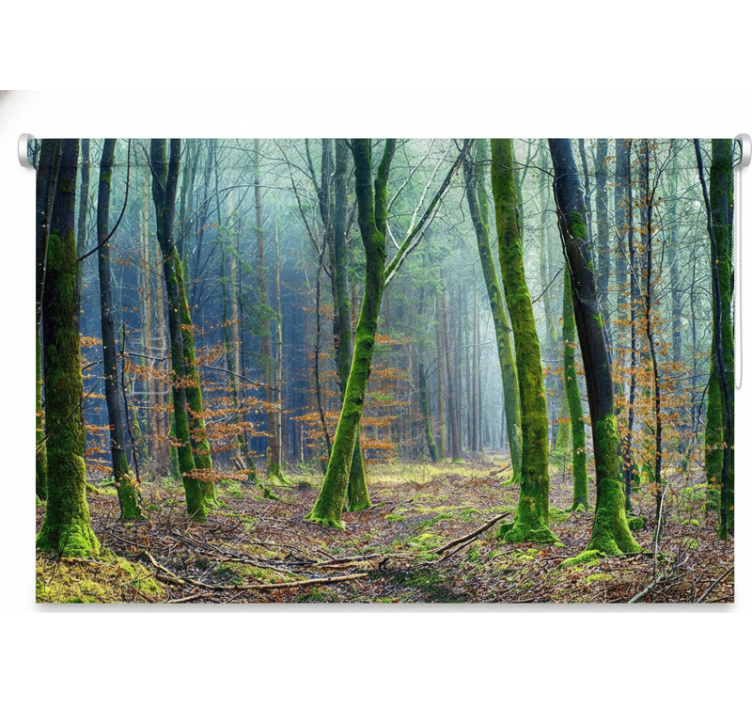 Cortina roller árboles bosque nublado japandi - TenVinilo